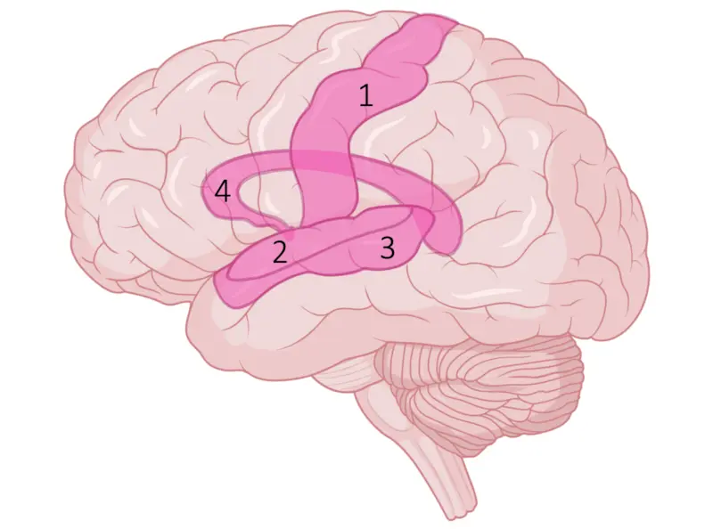 Sensory